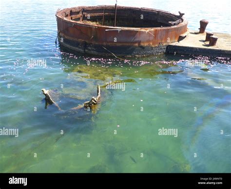 Studying the Effects of the Black Tears of USS Arizona